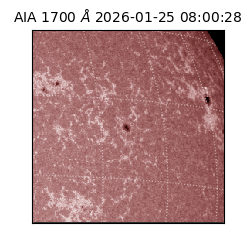 saia - 2026-01-25T08:00:28.717000