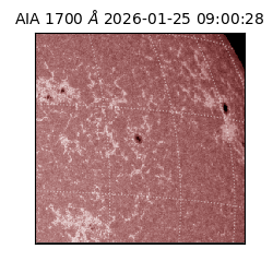 saia - 2026-01-25T09:00:28.717000