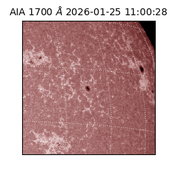 saia - 2026-01-25T11:00:28.718000