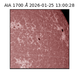 saia - 2026-01-25T13:00:28.721000