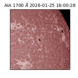 saia - 2026-01-25T16:00:28.718000