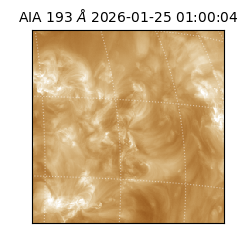 saia - 2026-01-25T01:00:04.843000