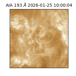 saia - 2026-01-25T10:00:04.843000