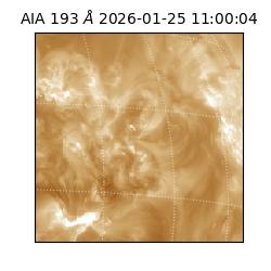 saia - 2026-01-25T11:00:04.842000