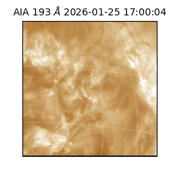 saia - 2026-01-25T17:00:04.846000