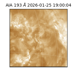 saia - 2026-01-25T19:00:04.846000