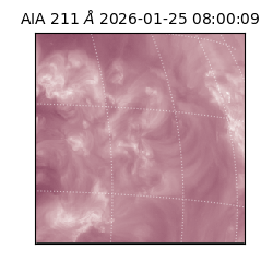 saia - 2026-01-25T08:00:09.625000