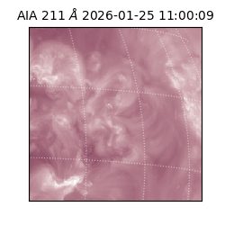 saia - 2026-01-25T11:00:09.631000