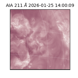 saia - 2026-01-25T14:00:09.632000