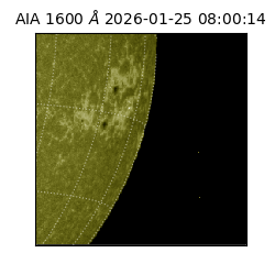 saia - 2026-01-25T08:00:14.131000