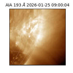 saia - 2026-01-25T09:00:04.843000