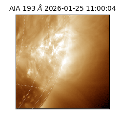 saia - 2026-01-25T11:00:04.842000