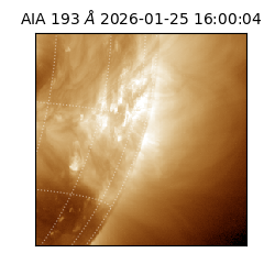 saia - 2026-01-25T16:00:04.842000