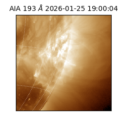 saia - 2026-01-25T19:00:04.846000