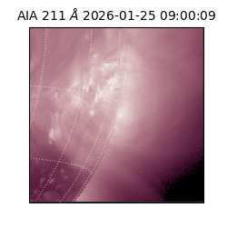 saia - 2026-01-25T09:00:09.632000