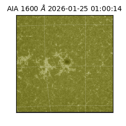 saia - 2026-01-25T01:00:14.126000