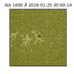 saia - 2026-01-25T05:00:14.132000