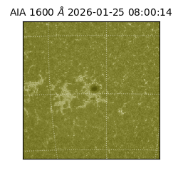 saia - 2026-01-25T08:00:14.131000