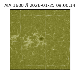 saia - 2026-01-25T09:00:14.126000