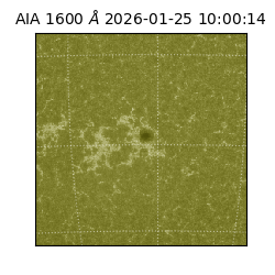 saia - 2026-01-25T10:00:14.126000