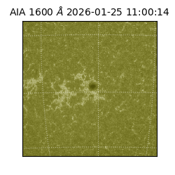 saia - 2026-01-25T11:00:14.129000