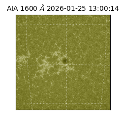 saia - 2026-01-25T13:00:14.126000