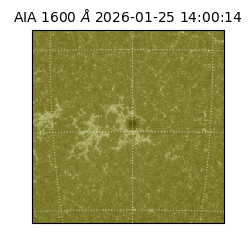 saia - 2026-01-25T14:00:14.126000