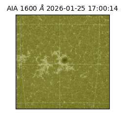 saia - 2026-01-25T17:00:14.138000