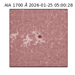 saia - 2026-01-25T05:00:28.717000