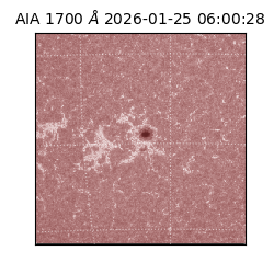 saia - 2026-01-25T06:00:28.717000