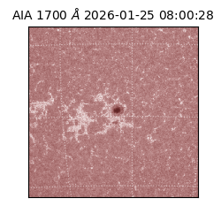 saia - 2026-01-25T08:00:28.717000