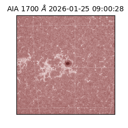 saia - 2026-01-25T09:00:28.717000