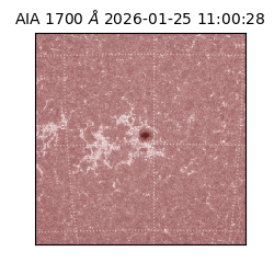 saia - 2026-01-25T11:00:28.718000