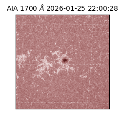 saia - 2026-01-25T22:00:28.713000