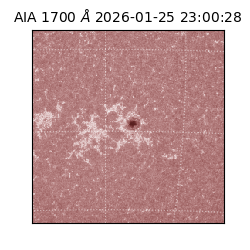 saia - 2026-01-25T23:00:28.717000