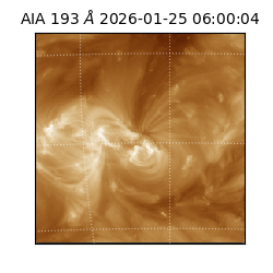 saia - 2026-01-25T06:00:04.843000
