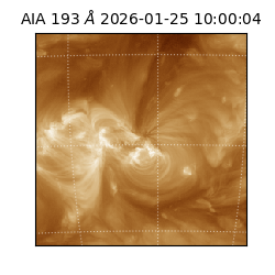 saia - 2026-01-25T10:00:04.843000