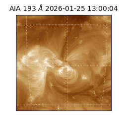 saia - 2026-01-25T13:00:04.847000