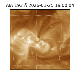 saia - 2026-01-25T19:00:04.846000