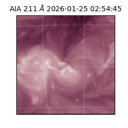 saia - 2026-01-25T02:54:45.626000