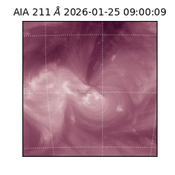 saia - 2026-01-25T09:00:09.632000