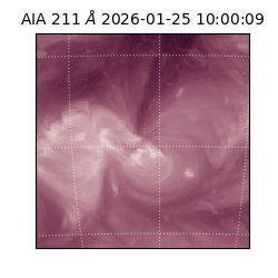 saia - 2026-01-25T10:00:09.631000