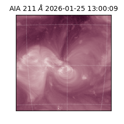 saia - 2026-01-25T13:00:09.633000