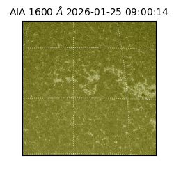 saia - 2026-01-25T09:00:14.126000