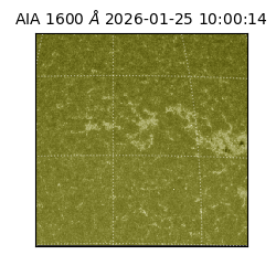 saia - 2026-01-25T10:00:14.126000