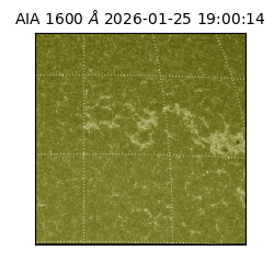 saia - 2026-01-25T19:00:14.126000