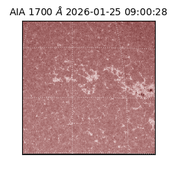 saia - 2026-01-25T09:00:28.717000