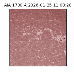 saia - 2026-01-25T11:00:28.718000