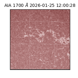 saia - 2026-01-25T12:00:28.730000