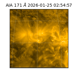 saia - 2026-01-25T02:54:57.350000